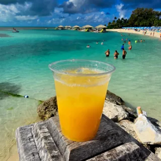 Perfect Day at Coco Cay #royalcaribbean