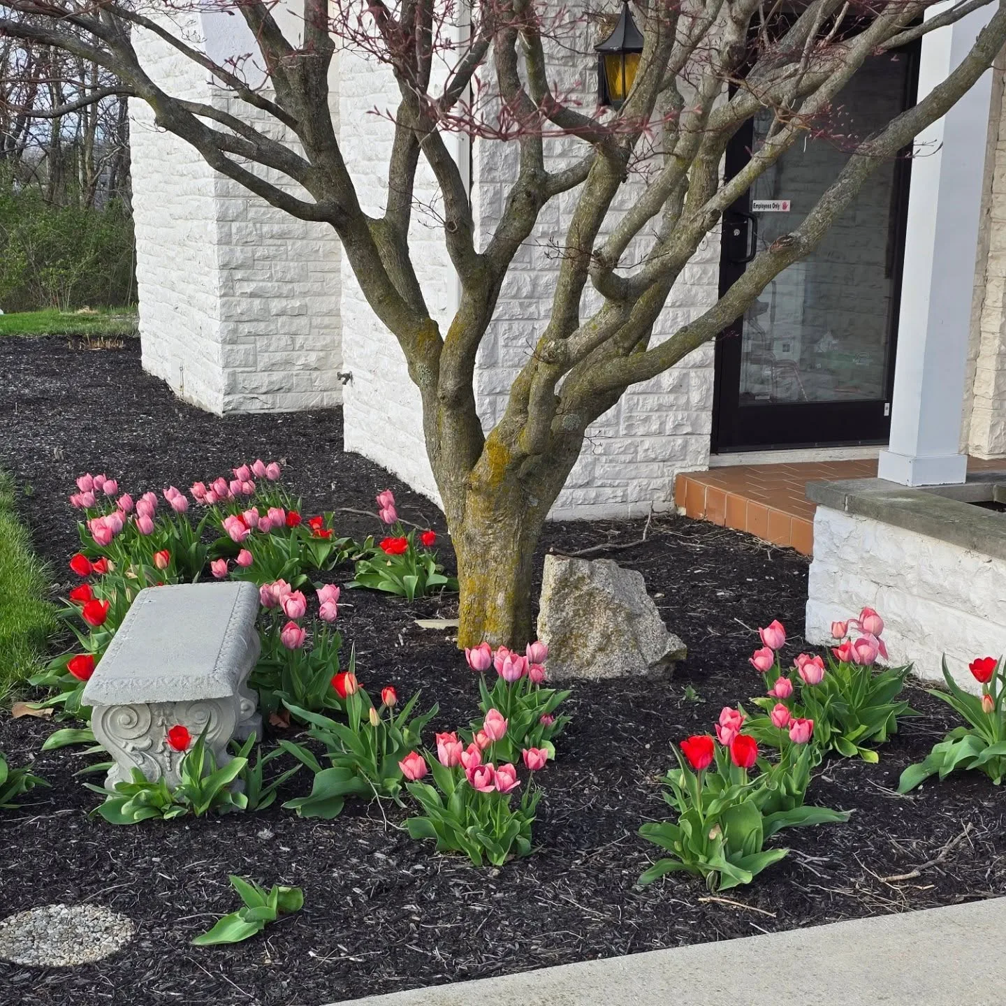 A welcome sight! #finallyspring