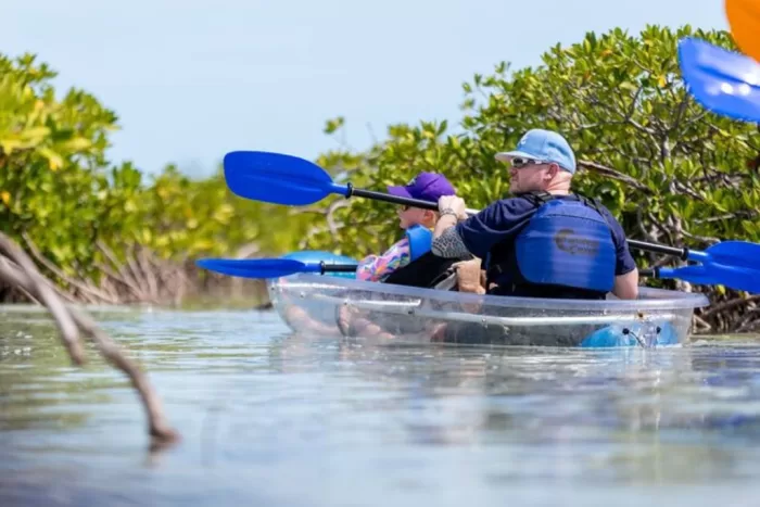 Man in a clear kayak in the Mangrove Wetlands in Turks and Caicos