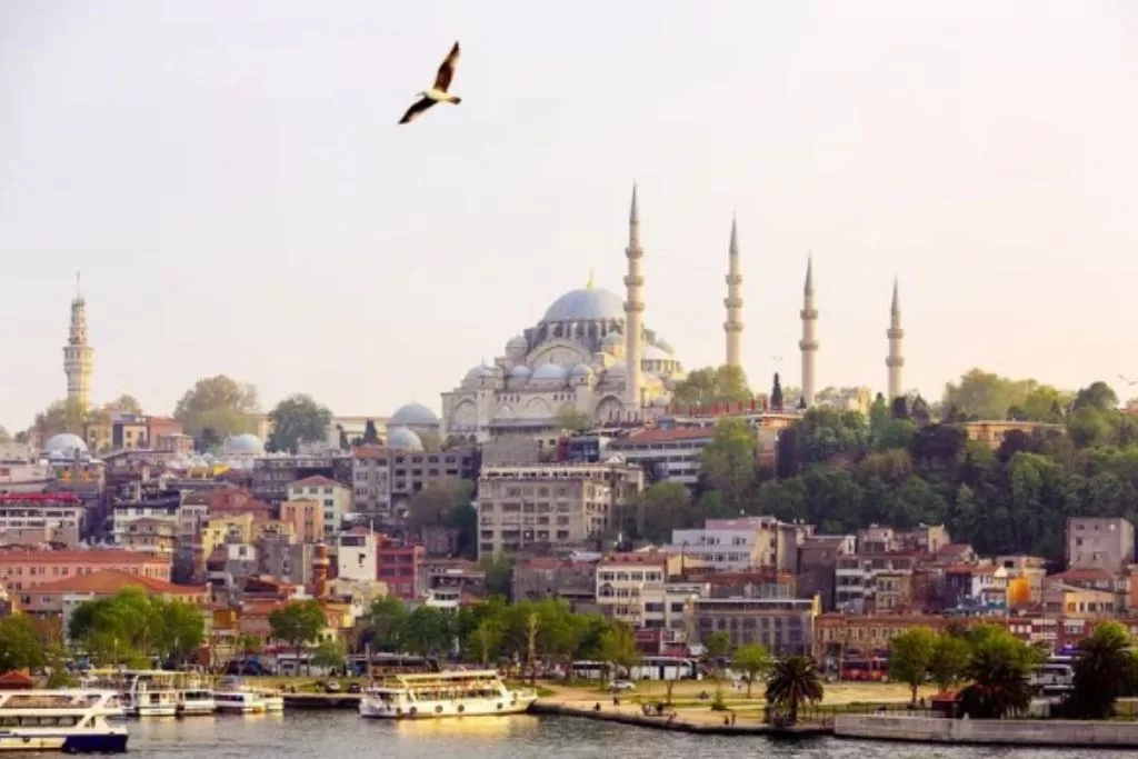 Suleymaniye Mosque and Golden Horn harbor in Istanbul, Turkey